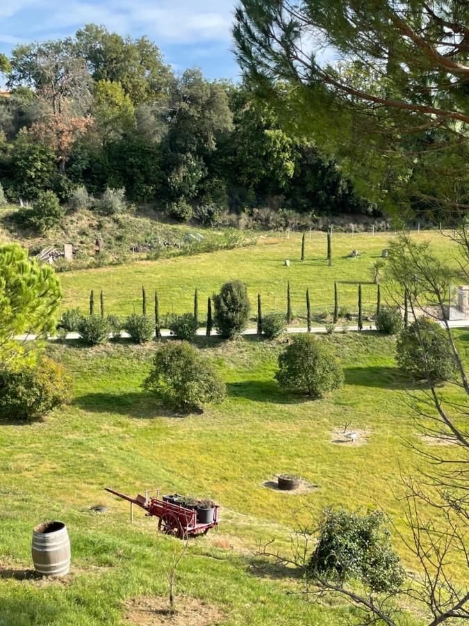 Resort Panoramico Canale Suite - Private Parking - Natural Park Sinalunga Zewnętrze zdjęcie